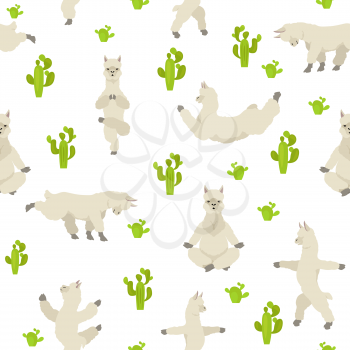 Camelids family collection. Alpaca yoga graphic design. Vector illustration