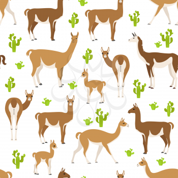 Camelids family collection. Guanaco graphic design. Vector illustration