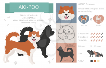 Designer dogs, crossbreed, hybrid mix pooches collection isolated on white. Aki-Poo flat style clipart infographic. Vector illustration