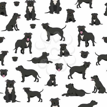 Staffordshire bull terrier seamless pattern. Staffy characters set.  Vector illustration