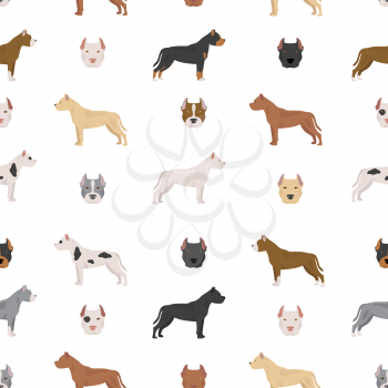 American pit bull terrier dogs set. Color varieties, different poses. Seamless pattern. Vector illustration