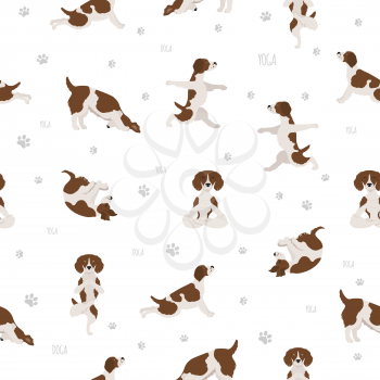 Brittany spaniel yoga. Yoga dogs poses and exercises. Vector illustration