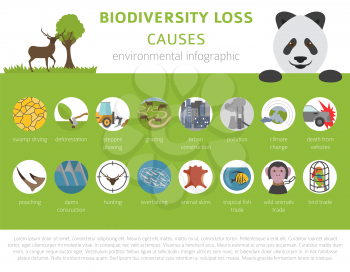 Global environmental problems. Biodiversiry loss infographic. Plants and animals destruction. Vector illustration