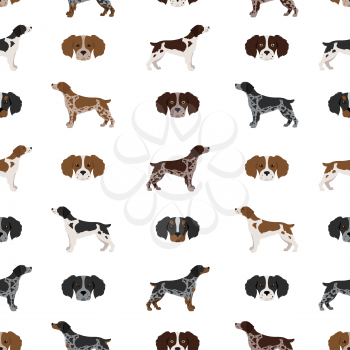 Brittany spaneil seamless pattern. Different poses set. Adult and puppy dogs infographic. Vector illustration