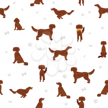 Irish setter seamless pattern. Different poses, coat colors set.  Vector illustration