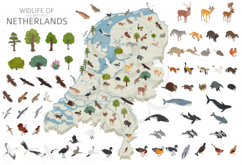 Isomatric 3d design of Netherlands wildlife. Animals, birds and plants constructor elements isolated on white set. Build your own geography infographics collection. Vector illustration