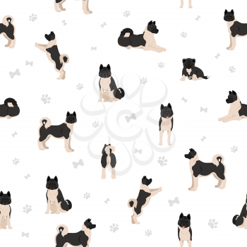American akita all colours seamless pattern. Different coat colors set. Vector illustration