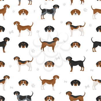 American foxhound all colours seamless pattern. Different coat colors set.  Vector illustration