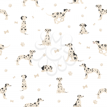 Dalmatian dogs seamless pattern. Different poses, coat colors set.  Vector illustration