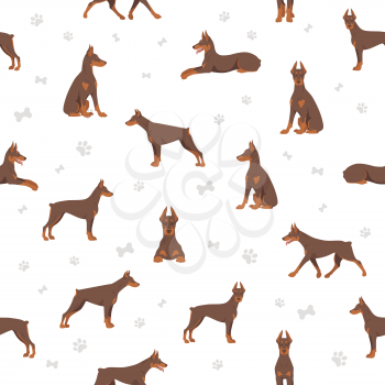 Doberman pinscher dogs seamless pattern. Different poses, coat colors set.  Vector illustration