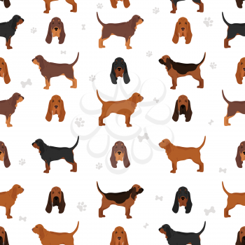 Bloodhound seamless pattern. Different coat colors and poses set.  Vector illustration