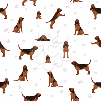 Bloodhound seamless pattern. Different coat colors and poses set.  Vector illustration