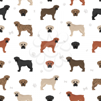 Boerboel seamless pattern. Different coat colors and poses set.  Vector illustration