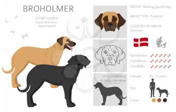 Broholmer clipart. Different coat colors and poses set.  Vector illustration