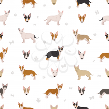 Miniature bull terrier seamless pattern. Different poses, coat colors set.  Vector illustration