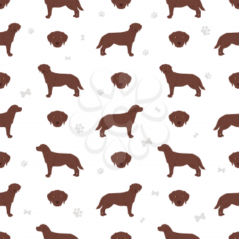 Labrador retriever dogs in different poses and coat colors seamless pattern. Vector illustration