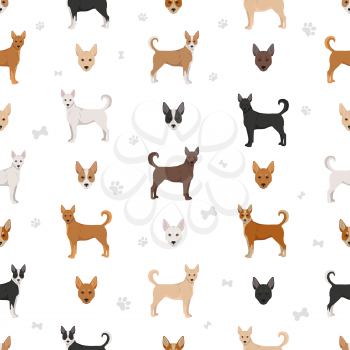 Canaan dog seamless pattern. Different poses, coat colors set.  Vector illustration