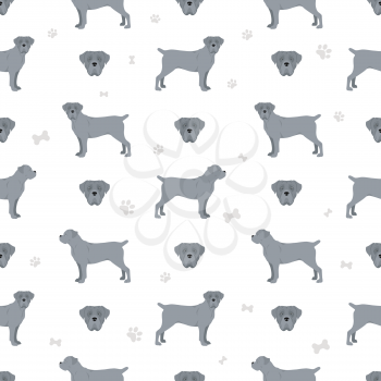 Cane corso seamless pattern. Different poses, coat colors set.  Vector illustration