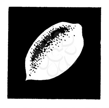 Royalty Free Clipart Image of a Lemon