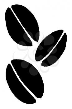 Royalty Free Clipart Image of Three Coffee Beans