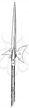Royalty Free Clipart Image of a Halberd Pole Arm Weapon 