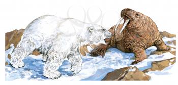 Royalty Free Clipart Image of a Polar Bear and a Walrus