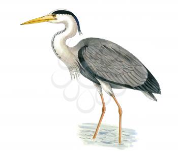 Royalty Free Clipart Image of a Crane 
