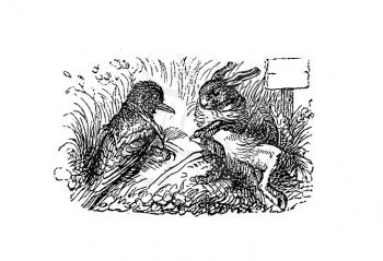 Royalty Free Clipart Image of a Bird and a Rabbit