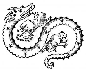 Zodiac Illustration