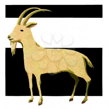 Horn Illustration
