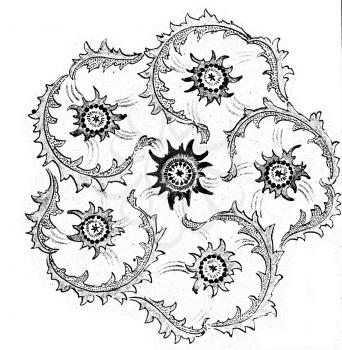 Symmetric Illustration