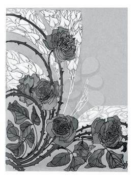 Chrysanthemum Illustration