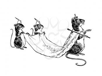 Mice Illustration