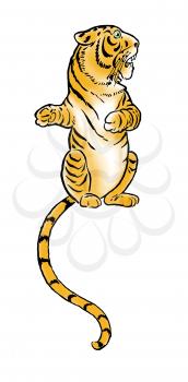 Tigers Illustration
