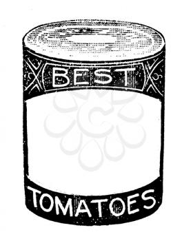 Tomatoes Illustration