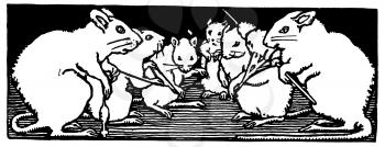 Mice Illustration