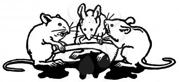 Rodent Illustration