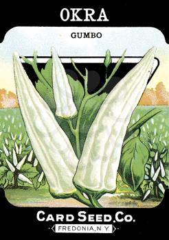 Seeds Illustration