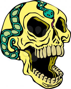 Skulls Illustration