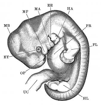 Isbn0486996441 Illustration