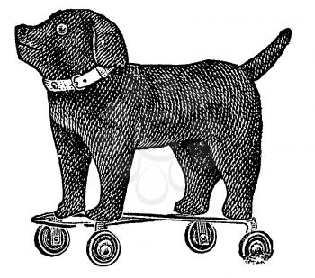 Dogs Illustration