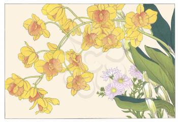Dover Collection : Japanese Woodblock Flower Prints