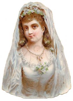 Bridal Illustration