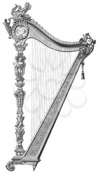 Harps Illustration