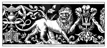 Lions Illustration