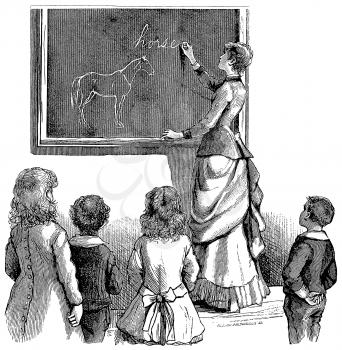 Teacher Illustration