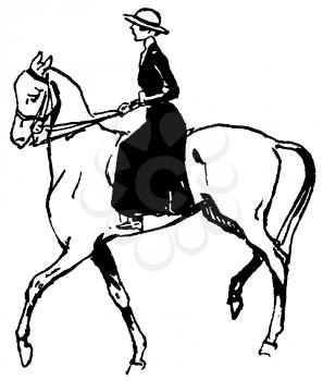 Horse Illustration