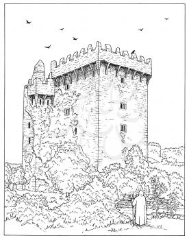 Castle Illustration