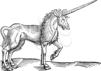 Unicorns Clipart