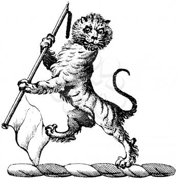 Heraldry Illustration
